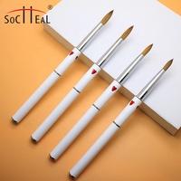 Pinceau professionnel pour nail art en poils de Kolinsky pur, avec manche en métal, durable, taille 5mm-15mm, Socheal WH-036 pour manucure