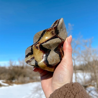 Cristal de Septarian Flame naturel de forme libre, sculpture de pierre de dragon Septarian Flame polie pour la décoration intérieure, guérison des chakras Reiki