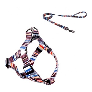 <span class=keywords><strong>Collar</strong></span> y correa para perro, suministros de alta calidad para todas las estaciones - Product Image 6