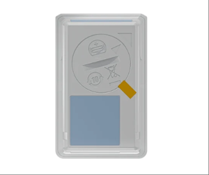Termómetro Mini Testo 174T BT con Conexión a Aplicación, Rango de -30 a +70 °C, Protección IP65, 16,000 Lecturas, OEM/ODM Disponible - Product Image 2