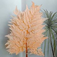 Vente chaude Conservé Feuille De Fougère Alpine Fougère Feuille Bouquet pour Vase Arrangement Décoration Compagnon Feuillage et Décor De Vacances