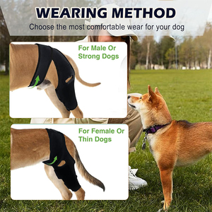 ผ้าพันเข่าสำหรับสุนัขขนาดเล็กและขนาดใหญ่ ช่วยพยุงขาหลังและขาหน้า บรรเทาอาการปวด ฟื้นฟูอาการบาดเจ็บ ปลอกพันเข่าสำหรับสัตว์เลี้ยง - Product Image 5