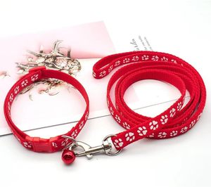 Collier et laisse pour chien réglables en nylon multicolores, vente en gros du fabricant - Product Image 2
