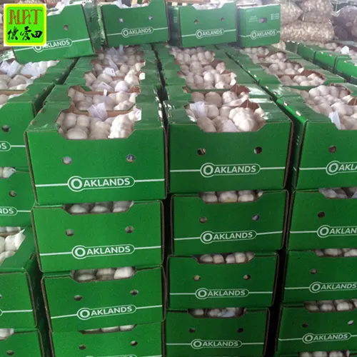 Prezzo di fabbrica verdure fresche in sacchetto di rete da 20kg 2023 più nuovo raccolto bawang putih fornitore originale aglio essiccato completo per il commercio all'ingrosso