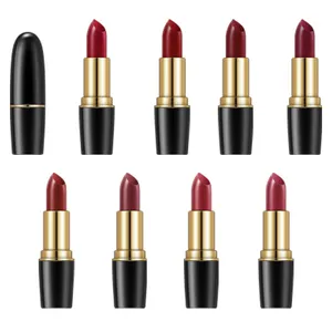 Custom Logo Organische Make-Up Hydraterende Make-Up Cosmetica Producten Nude Lip Matte Lippenstift Waterdicht Langdurig Voor Vrouwen