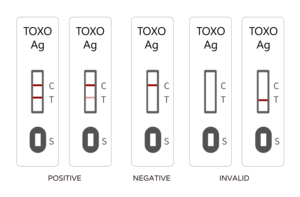 Toxoplasma Antigen ชุดทดสอบอย่างรวดเร็ว toxo AG ชุดตรวจทางสัตวแพทย์ทดสอบอุจจาระวินิจฉัยได้อย่างรวดเร็ว toxo AG สำหรับสุนัขและแมว - Product Image 5