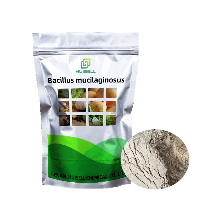 Биологическое органическое удобрение Bacillus Mucilaginosus, белое фосфорное растение с порошком, быстрая полка, водный оригинальный тип ISO
