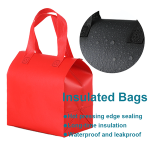 Bolsa Térmica Impermeable Desechable, Bolsa Aislante para Bebidas Frías y Calientes, Entrega de Alimentos y Comida para Llevar - Product Image 2