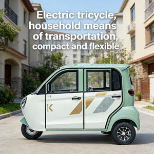 Triciclo Elettrico Completamente Chiuso per Adulti, Uso Domestico con Seggiolino per Bambini Come Mezzo di Trasporto per Adulti e Bambini - Product Image 6