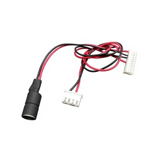 कस्टम जेस्ट से एसी/डीसी पावर केबल के साथ कस्टम जेस्ट से एसी/डीसी पावर केबल - Product Image 1