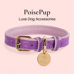 Collar de perro de cuero genuino hecho a mano para perros pequeños y grandes con estilo hecho a mano | Diseño de alta calidad suave de Primera calidad-Púrpura | Lavanda - Product Image 1