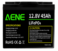 Batterie LiFePO4 OEM 12V 45Ah avec BMS intelligent, remplacement pour batteries au plomb-acide pour applications solaires, VR et marines