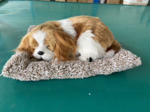 Gerçekçi gerçekçi interaktif arkadaşı Pet yavru oyuncak Modern stil araba Dashboard kullanımı için Nano kristal koku giderme ile - Product Image 4