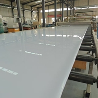 Fabricant de plaques en HDPE blanc, taille personnalisée, panneau en polyéthylène haute densité, OEM