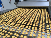 Machine à biscuits sandwichs Oreo entièrement automatique, machine à fabriquer des biscuits au chocolat, four à biscuits