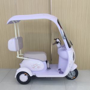 A Low-cost <b>Electric</b> Tricycle with Carbon Steel Frame 3-speed Gear LED Display Electronic Features for Urban Transportation - Product Image 4