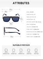 Partagas Vintage Rétro Punk Steampunk Style Logo Personnalisé Carré Double Pont UV400 Nuances Lunettes de Soleil Lunettes de Soleil pour Femmes Hommes