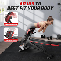 Chaise romaine de premier rang Équipement de fitness Chaise romaine de qualité Fitness populaire Bodybuilding