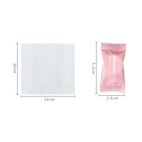 Kit d'outils de lavage de voiture : serviettes compressées jetables, petites et carrées, portables pour voyages d'affaires et hôtels, nettoyage nomade