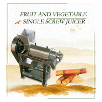 Extracteur de jus de fruits de la passion Presse-agrumes électrique commercial à froid Presse-agrumes en spirale Machine à jus à vis unique commerciale
