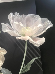 La <span class=keywords><strong>carta</strong></span> <span class=keywords><strong>di</strong></span> seta dell'organza della rosa del <span class=keywords><strong>papavero</strong></span> dell'anemone del fiore gigante H-168 può essere personalizzata - Product Image 3