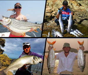 Crony Snelle Levering Feeder Hengel Japan Fuji Real Seat Zware Koolstofvezel Feeder Hengels - Product Image 6