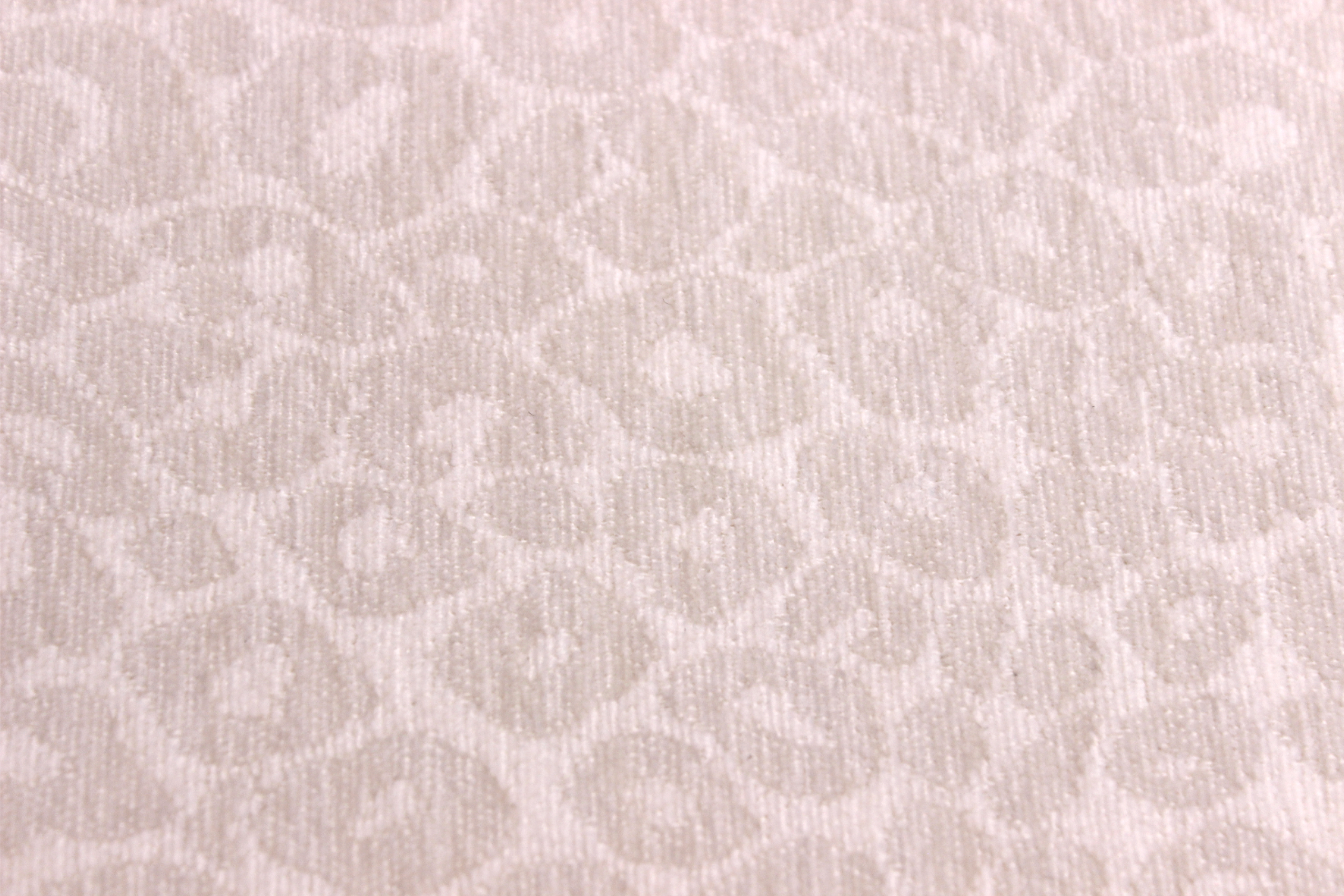 Leopard print White