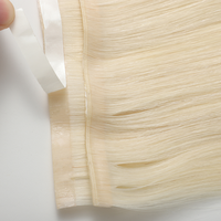 Extensions de cheveux humains Premium Remy Raw Virgin INDIAN HAIR, lisses, double épaisseur, longues, Genius Tape Weft, couleur platine blanc, doux