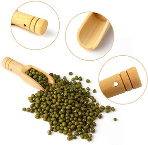 Cucharas de Bambú, Cucharilla de Madera para Matcha, Cucharilla para Especias, Mini Cucharas de Madera para Té - Product Image 6