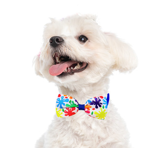 Collier <span class=keywords><strong>pour</strong></span> <span class=keywords><strong>chien</strong></span> à nœud papillon en forme de fleur multicolores à la mode en gros, accessoires universels <span class=keywords><strong>pour</strong></span> animaux de compagnie - Product Image 3