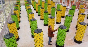 Système de culture hydroponique vertical 8P10 à 80 pots avec pompe et circulation d'eau automatisée, en PVC de qualité alimentaire, pour extérieur - Product Image 3