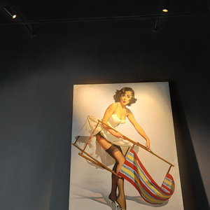 Luz LED de riel colgante con Zoom de 12W, estilo moderno, cuerpo de aluminio, foco de poste largo para Museo y Galería de montaje en pared de tienda - Product Image 6