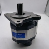 Pompe à engrenage électrique de haute qualité CBFC80 CBFC63 cbf50, appareil à 6 dents gauche ou droite avec arbre de cannelure