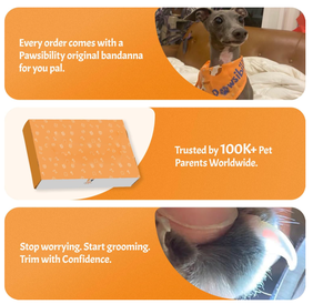 קוצץ ציפורניים מקצועי נטען לחיות מחמד, 350mAh, שקט, עם תאורת LED, לכלבים וחתולים קטנים, סיטונאי יצרן - Product Image 3