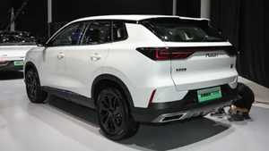 Nuovissimo DongFeng Feng Shen HaoJi Modello 2026, SUV di Lusso a Benzina per Famiglie con 5 Posti, Prezzo di Fabbrica - Product Image 4