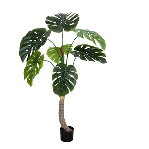 Plantes artificielles réalistes pour la décoration intérieure, plantes bonsaï de haute qualité, <span class=keywords><strong>bambou</strong></span> <span class=keywords><strong>artificiel</strong></span> à <span class=keywords><strong>tige</strong></span> haute pour l'intérieur - Product Image 5