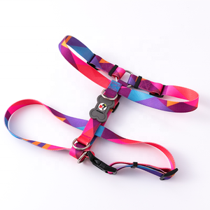 Nuovo Design Personalizzato Set Estivo per Addestramento in Nylon Resistente Guinzaglio e Collari per Cani con Etichetta Privata Prodotti per Animali Domestici Morbidi e alla Moda - Product Image 1