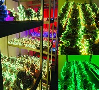 Dekorative Wasserdichte LED-Weihnachtsbaumbeleuchtung LED-Zug-Lichterkette DC12V Neon Pixel LED Funkelnde Lichter