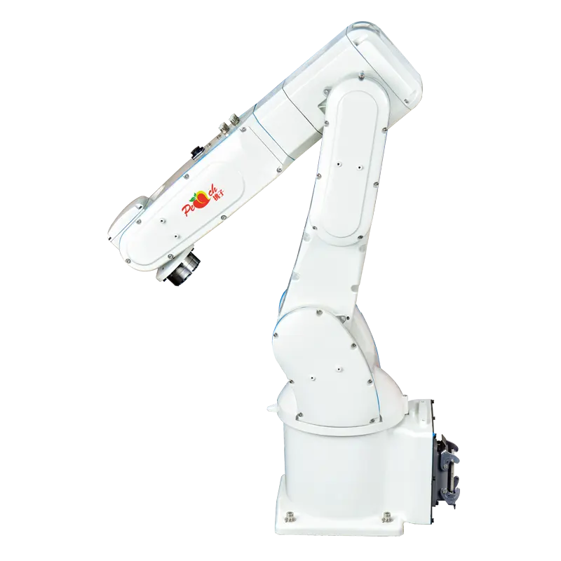 Palettiseur collaboratif automatique CNC à 6 axes Robot mécanique manipulateur de bras robotique