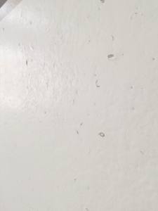 DECHITON HC-681 (Série <span class=keywords><strong>Calcaire</strong></span>) Dalle de quartz moderne inorganique blanc neige moucheté pour cuisine/plancher/table/salle à manger/mur - Product Image 2