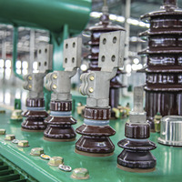 Transformateur de distribution toroïdal immergé dans l'huile triphasé 0,4 kV, entrée 6 kV, haute efficacité, faible perte, sûr pour l'industrie