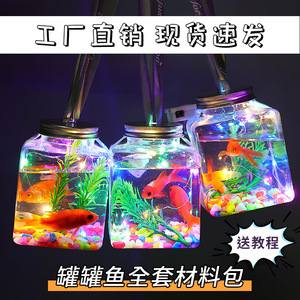 Jouet lumineux en plastique carré en forme d'aquarium avec lumières LED pour enfants, cadeau - Product Image 2