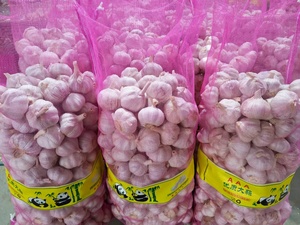Alho Professional, Exportadores Chinos de Ajo, Venta de Ajo Fresco de Nueva Cosecha 2026, Ajo a Bajo Precio, Ajo Chino - Product Image 6