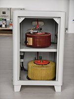 Régulateur de tension automatique 10 kVA 20 kVA 220 V monophasé série servo AC AVR stabilisateur de tension