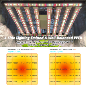 Cung cấp trực tiếp từ nhà máy |   Đèn LED thanh 800W dùng cho trồng cây |   Samsung LM301H EVO chính hãng |   Điều chỉnh độ sáng riêng biệt UV/IR toàn phổ - Product Image 2
