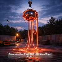 Nouveau produit 2026 : Tube néon flexible noir 360 RGB D22, néon RGB adressable à 360 degrés, néon flexible à 360 LED