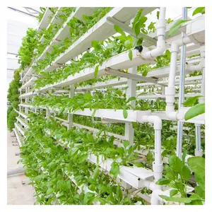 Food-Grade Commercial Hydroponic System NFT Channel For Hydroponic Greenhouse Farm System