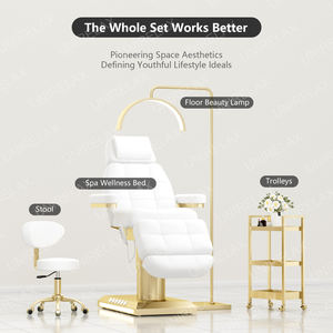 Équipement d'exercice Traitement de physiothérapie électrique Table de thérapie de réadaptation en clinique de canapé Lit inclinable Table d'examen Lit de massage - Product Image 5