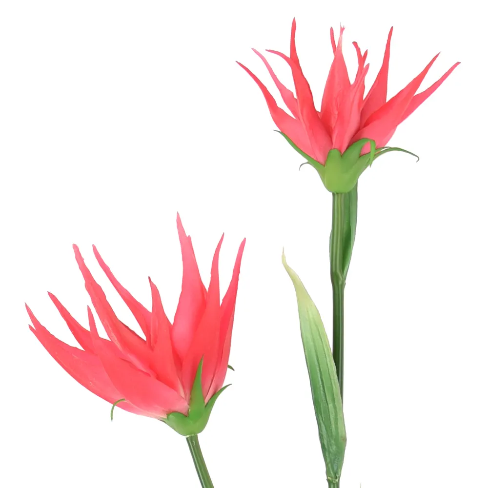 HuiCai tropical flower stems double head bird of paradise real touch artificial flowers high quality