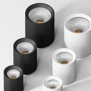 Mới bề mặt gắn kết <span class=keywords><strong>Led</strong></span> <span class=keywords><strong>Downlight</strong></span> 12W 20W 30W 40W <span class=keywords><strong>COB</strong></span> dẫn ánh sáng Trần Trần trần gắn <span class=keywords><strong>Downlight</strong></span> - Product Image 1